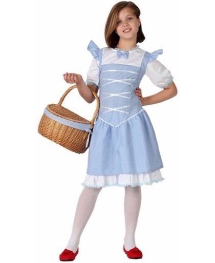 Dorothy Wizard of Oz verkleedjurk voor meisjes - kostuum/ verkleedkleding 116 (5-6 jaar)