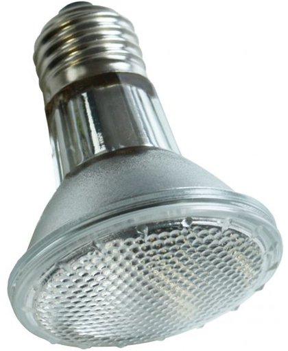 Komodo Halogeen Spot Lamp - ES 50 Watt