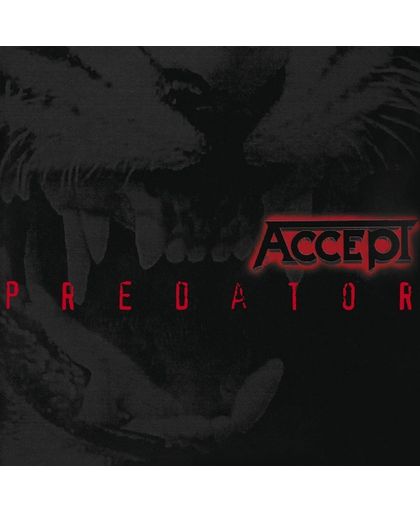 Accept Predator CD st.