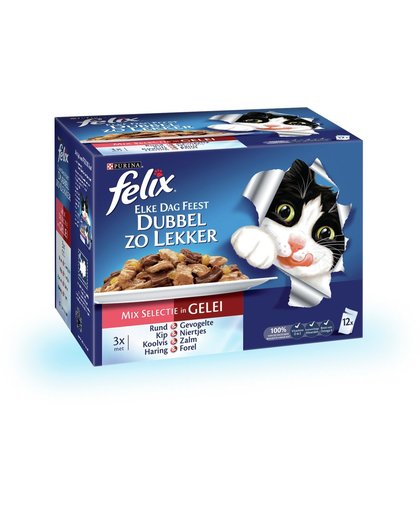 FELIX Dubbel zo Lekker - Vlees en Vis - Kattenvoer - 12 x 100 gr