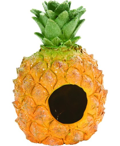 Zolux Knaagdierhuisje Ananas 10x10x15 cm Oranje Groen