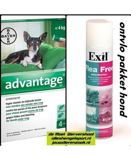 anti vlooien pakket voor de hond tot 4 kg - Exil flea free omgevingsspray + 4 pipetten advantage hond 40