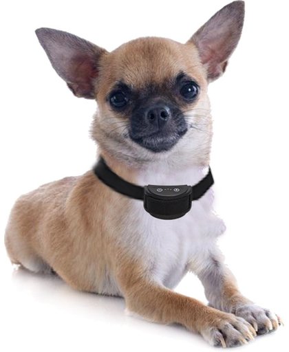 Anti blafband met trillen speciaal voor kleine honden (1,5-10 kg) OHS 26 oplaadbaar (spat) watervast