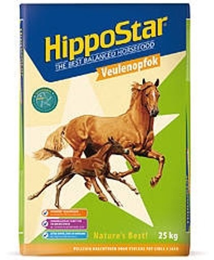 HippoStar Kruiden - Veulenvoer - Snack