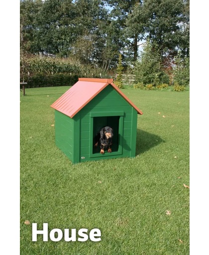 Dog House Medium Model: House