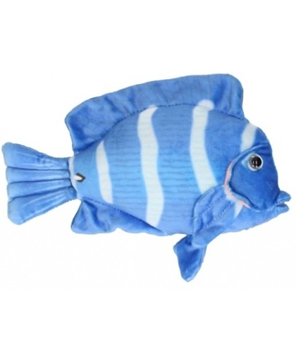 Pluche blauwe tropische vis knuffel 21 cm - knuffeldier