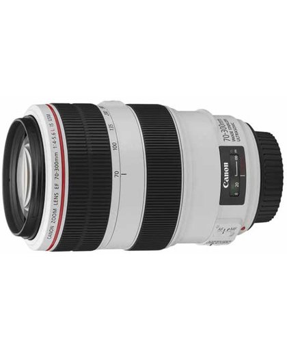 Canon EF 70-300mm f/4-5.6L IS USM SLR Telelens Zwart, Wit