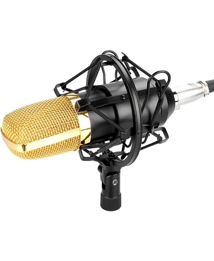 FIFINE F-700 Professional Condenser Sound Recording microfoon met Shock Mount voor Studio Radio Broadcasting, 3.5mm Koptelefoon Port, Kabel Length: 2.5m(zwart)