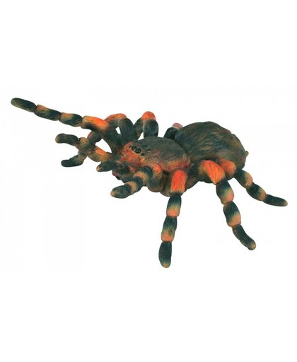 Collecta Insecten: Mexicaanse Roodknievogelspin 8 X 8,7 cm