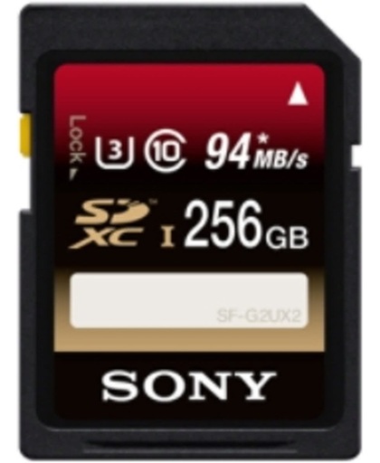 Expert, SD Card cl10 UHS-I 256GB