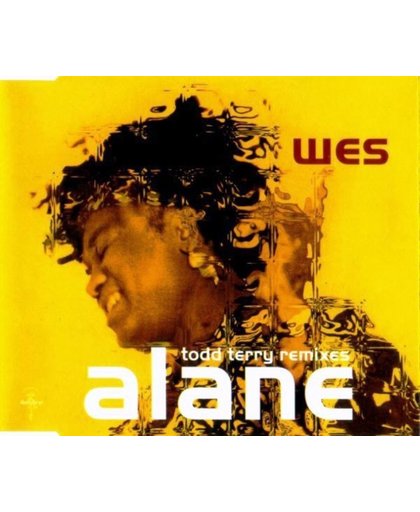 Alane (Todd Terry Remixes)