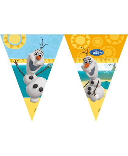 Disney Frozen Olaf Vlaggenlijn