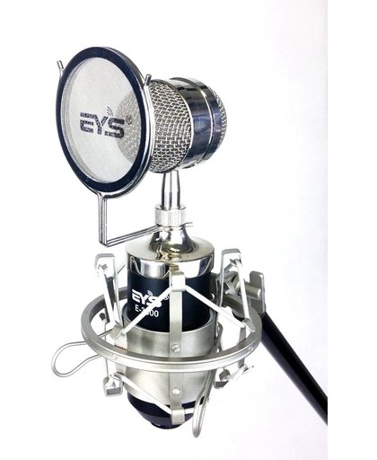 Studio condensator microfoon - direct op PC (5v) of 48v fantoomvoeding