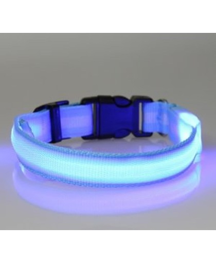 hondenhalsband led verlichting small blauw