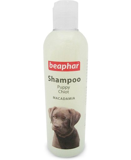 Beaphar Puppy Shampoo - Vachtverzorging - pH neutraal - 2 x 250 ml