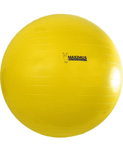 Hofman Maximus Power Play Ball 100cm