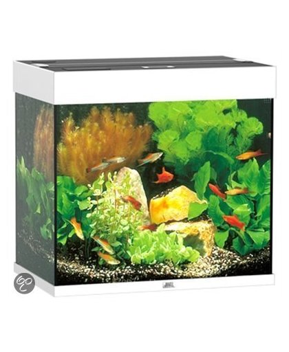 Juwel Lido Aquarium - 61x58x41 cm - 120L - Wit