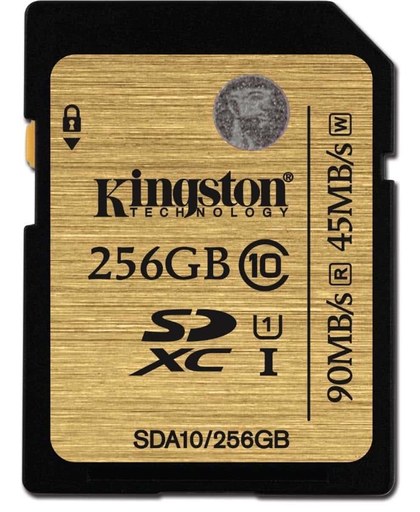 Kingston Technology SDXC Class 10 UHS-I 256GB 256GB SDXC Flash Klasse 10 flashgeheugen