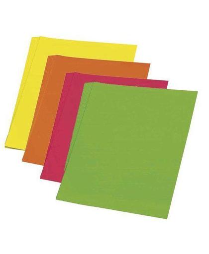 Fluor kleur karton oranje 48 x 68 cm