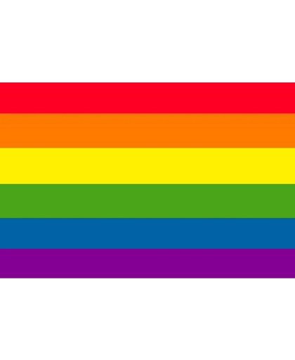 Vlag regenboog / rainbow flag - 150x90cm