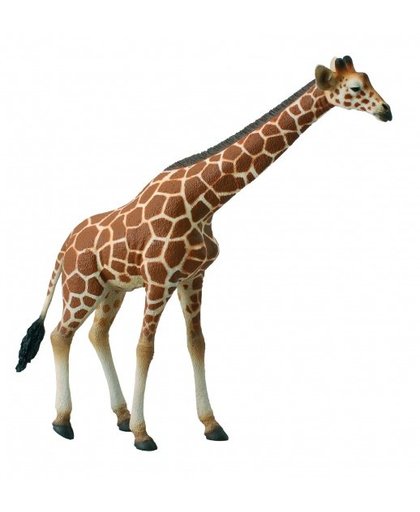 Collecta Wilde Dieren Giraf 15.5 x 16.5 cm