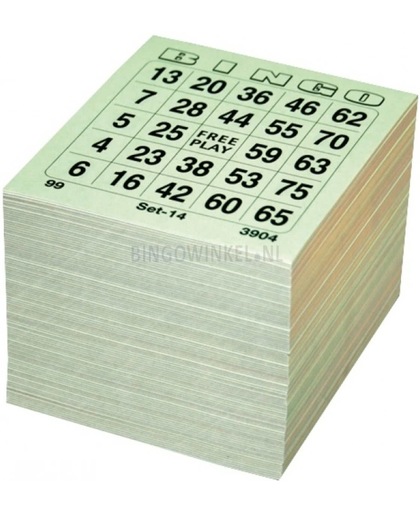 Bingokaarten 1 t/m 75 | 10 Game | Enkel - Bingoboek