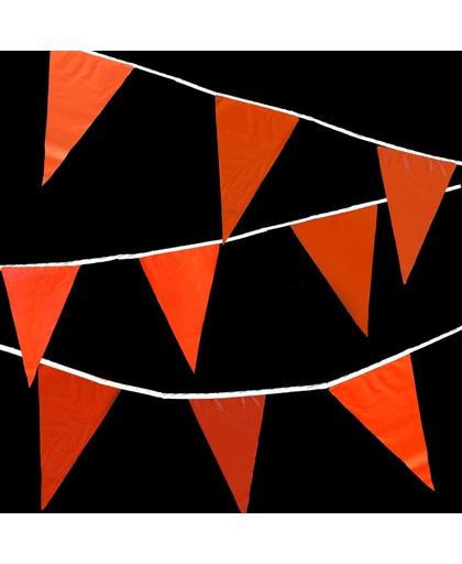 Oranje slingers - 10m vlaggenlijnen