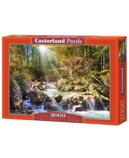 Castorland legpuzzel The Forest Stream 2000 stukjes