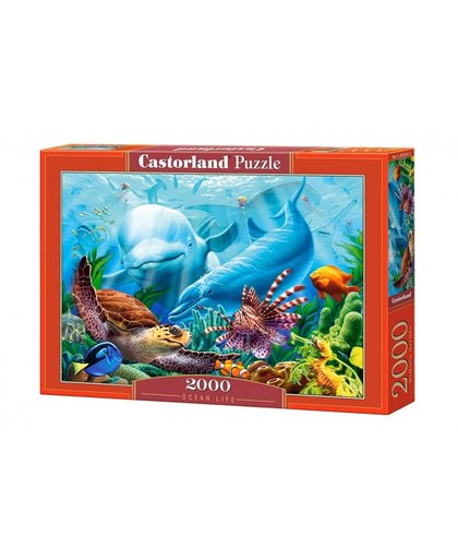 Castorland legpuzzel Ocean Life 2000 stukjes