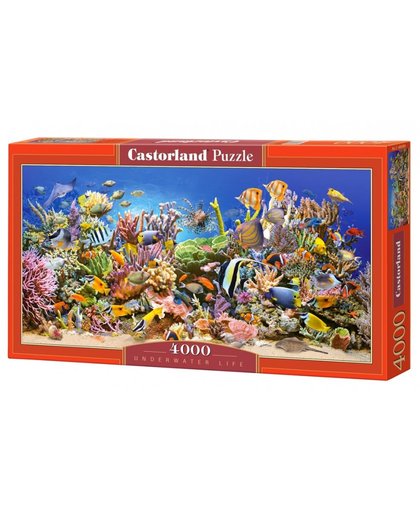 Castorland legpuzzel Underwater Life 4000 stukjes