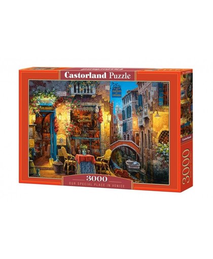 Castorland legpuzzel Our Special Place in Venice 3000 stukjes