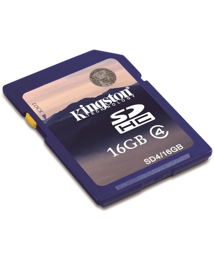 Kingston Technology 16GB SDHC Card 16GB SDHC Flash Klasse 4 flashgeheugen