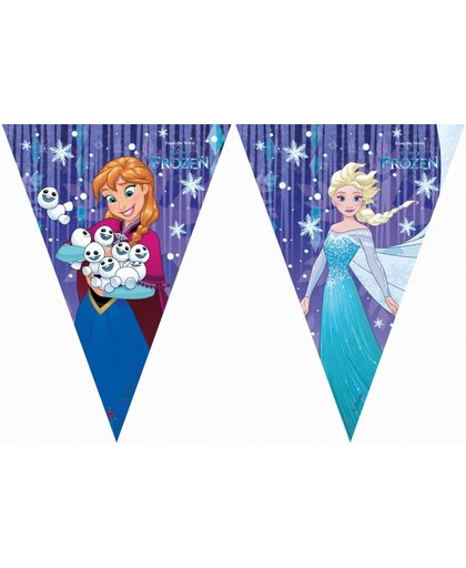 Disney vlaggenlijn Frozen snowflake 2 meter