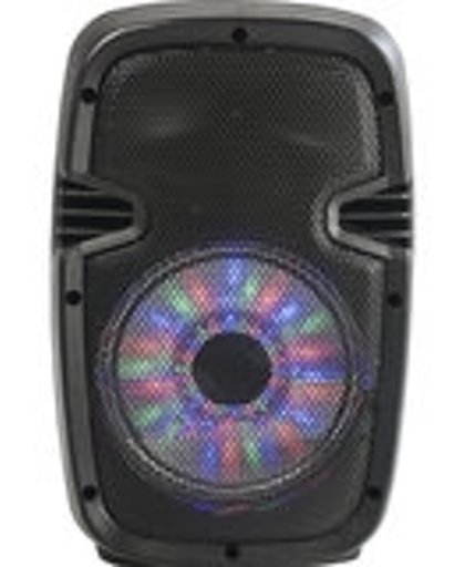 Party light & sound draagbare speaker op accu 300W met USB Bluetooth en FM