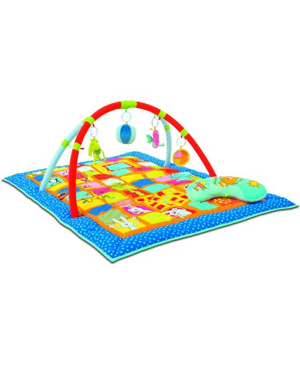 TafToys Curiosity Gym -  Speelkleed met afneembare bogen, speeltjes en buiklig kussen