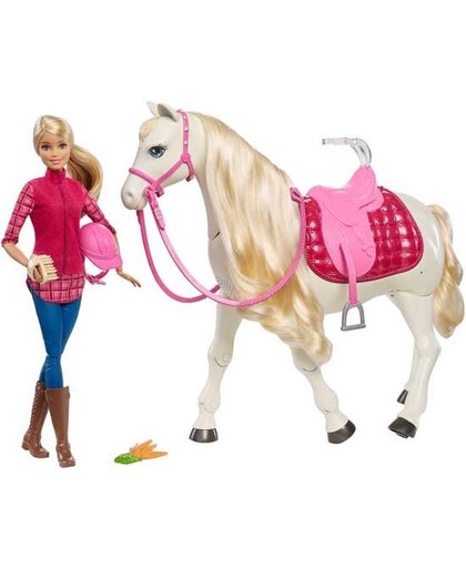 Barbie speelset Barbie met Droompaard