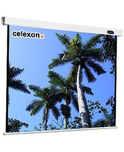 Celexon Mobil Expert 244 x 137cm 16:9 Zwart, Wit projectiescherm