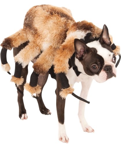 Enorme spin kostuum voor honden