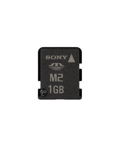 Sony 1GB Memory Stick Micro 1GB MS flashgeheugen