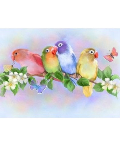iHobby Box Diamond Painting Lovebirds