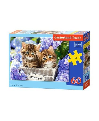 Castorland legpuzzels Cute kittens 60 stukjes