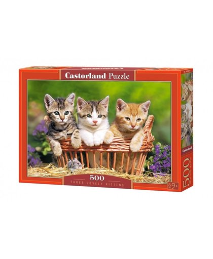 Castorland legpuzzel Three lovely kittens 500 stukjes