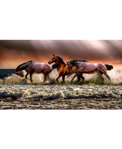 Wilde paarden - Diamond Painting 40x70 (Volledige bedekking - Vierkante steentjes)