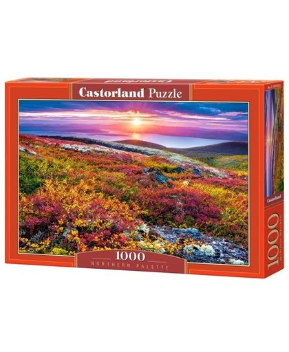 Castorland legpuzzel Northern Palette 1000 stukjes