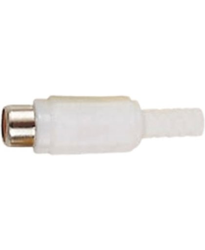 Eenvoudige witte vrouwelijke RCA connector