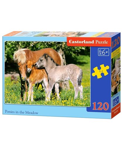 Castorland legpuzzel Ponies in the meadow 120 stukjes