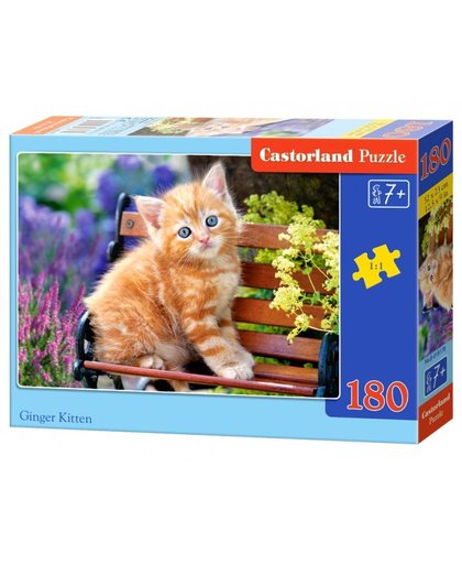 Castorland legpuzzel Ginger Kitten 180 stukjes