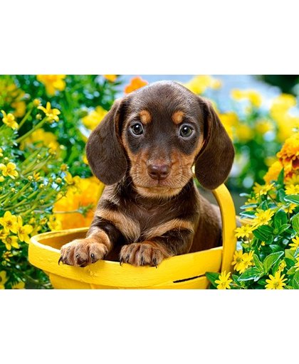 Castorland legpuzzel Puppy in yellow 180 stukjes