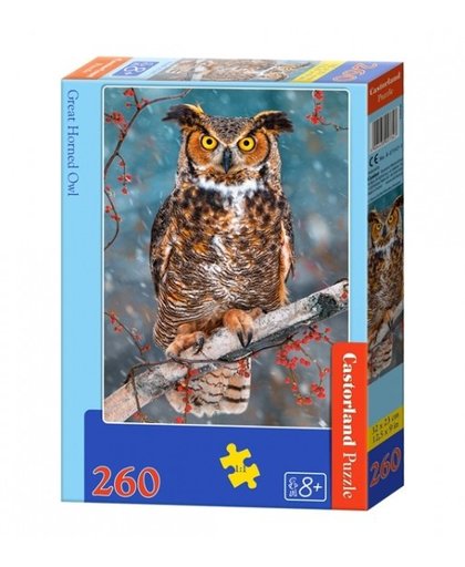 Castorland legpuzzel Great Horned Owl 260 stukjes