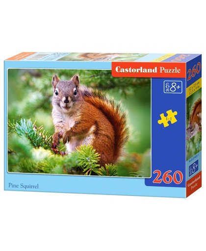 Castorland legpuzzel Pine Squirrel 260 stukjes